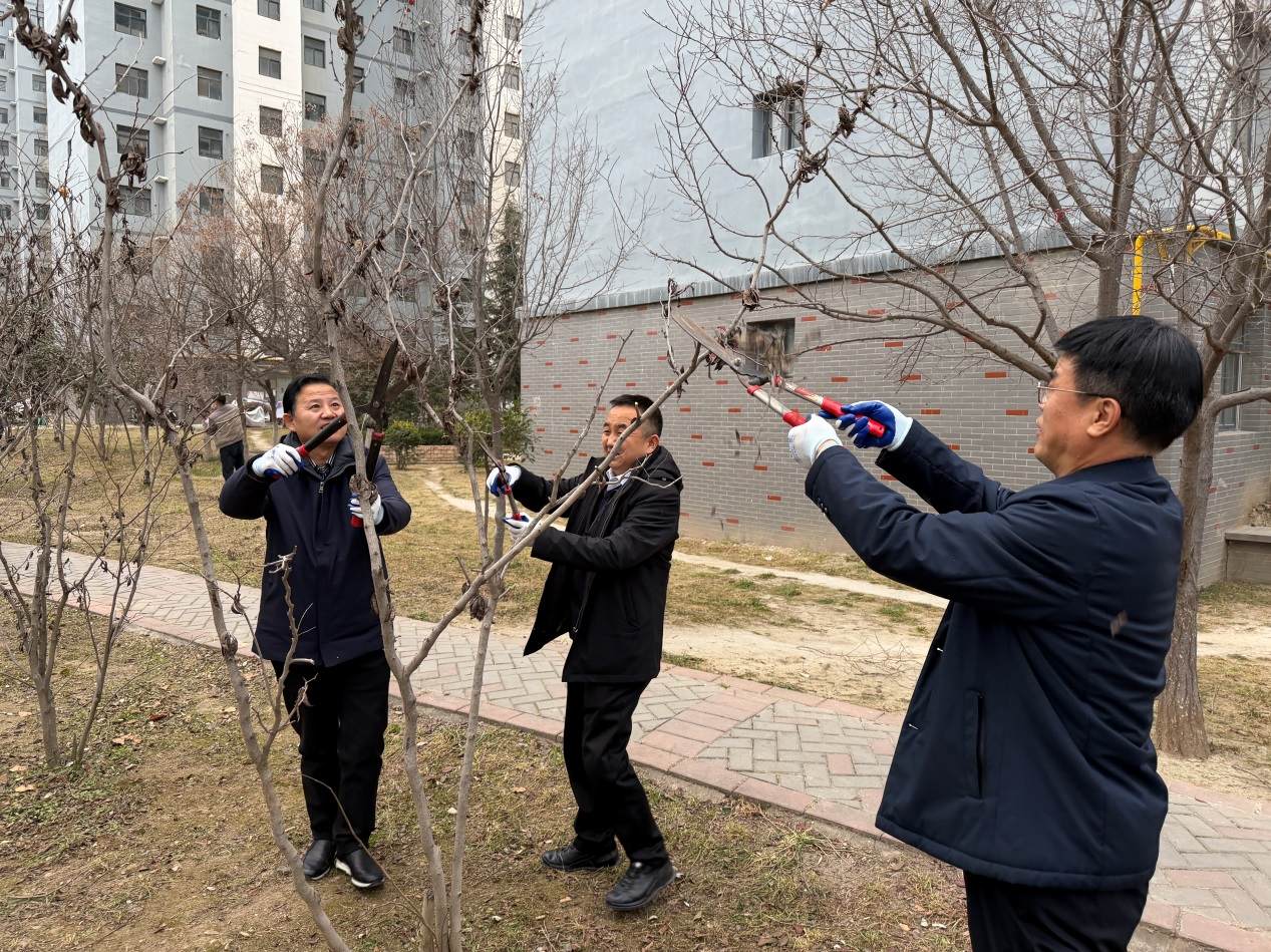 图片3.jpg 图片3.jpg